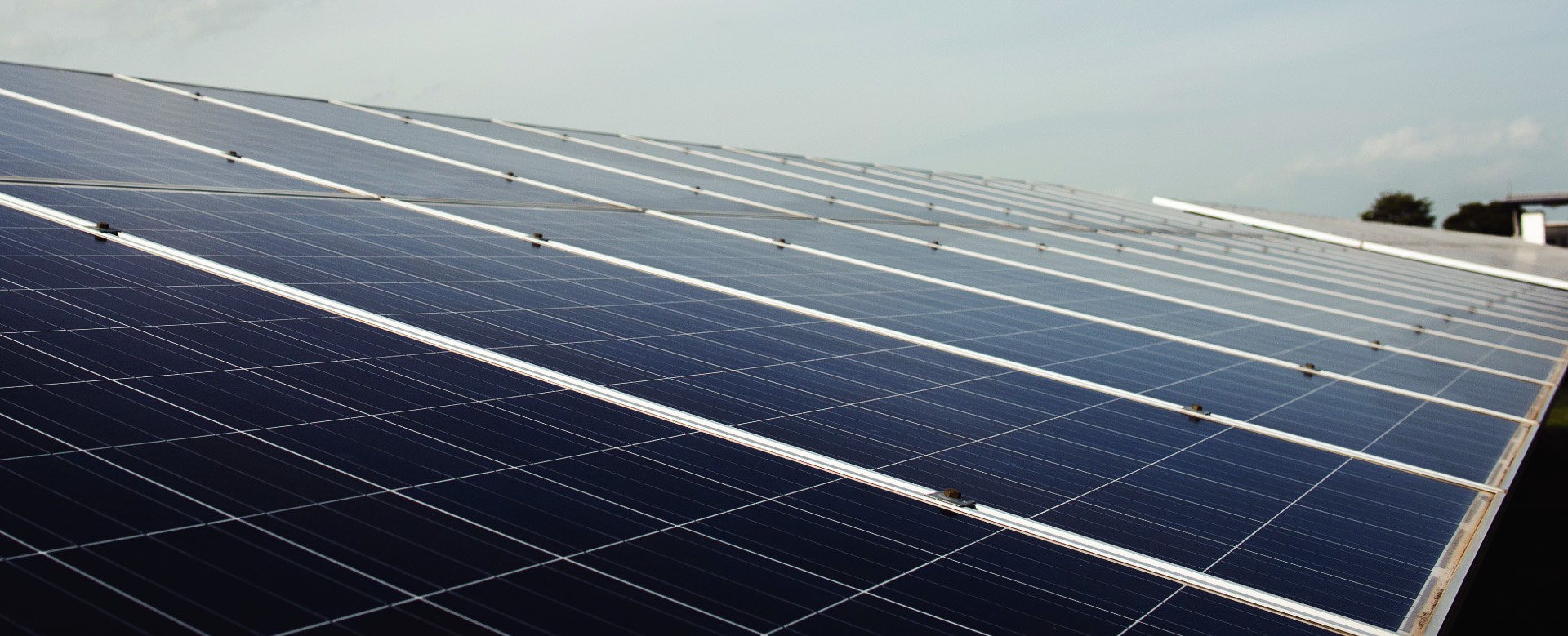 experience-buysolar